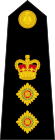 British Royal Marines OF-5.svg