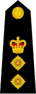 File:British Royal Marines OF-5.svg