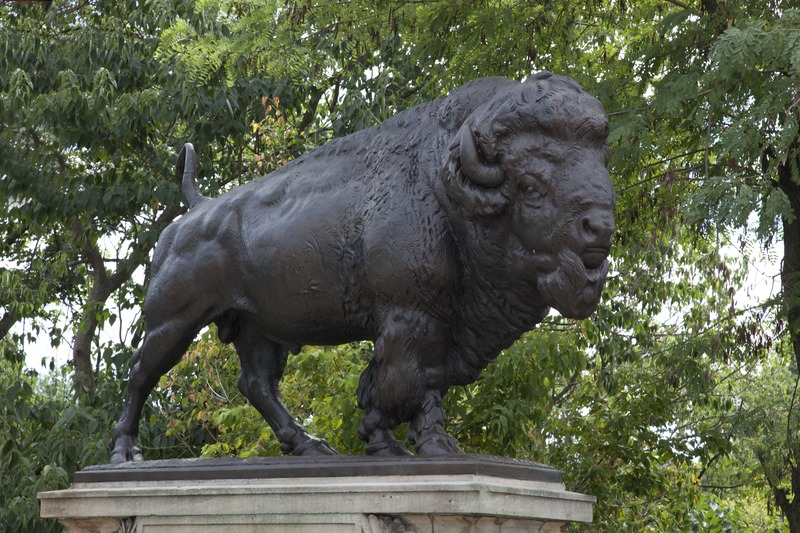 File:Buffalo statue created by Alexander Phimister Proctor on Dumbarton Bridge, Q St. near intersection with 23rd St., NW, Washington, D.C LCCN2010641515.tif