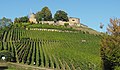 Deutsch: Blick auf die Burgruine Weibertreu von Osten. English: Castle ruin Weibertreu in Weinsberg, (Baden-Württemberg, Germany).