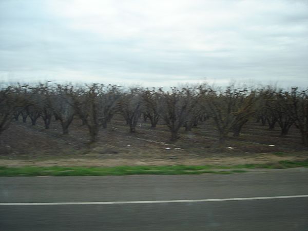 SR 63 near Visalia