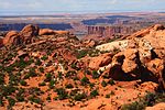 Miniatuur voor Bestand:CColorado in Canyonlands.jpg