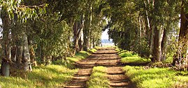 Caminos - panoramio (10).jpg