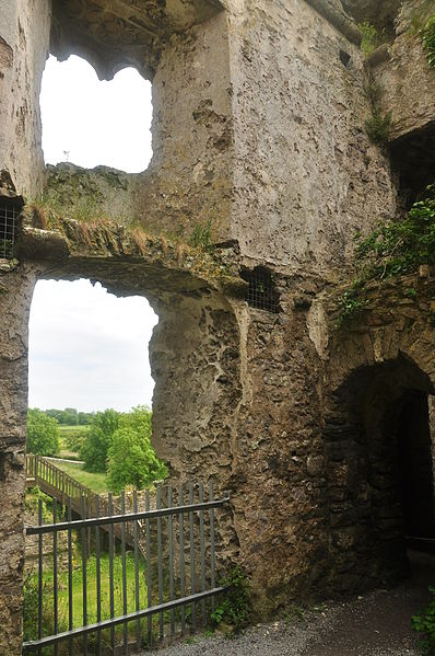 File:Carew Castle (6803).jpg