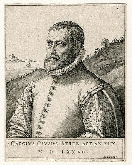 Fail:Carolus Clusius by Martin Rota.jpg