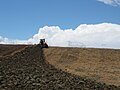 Challenger tractor plowing, Tuscany 2.jpg