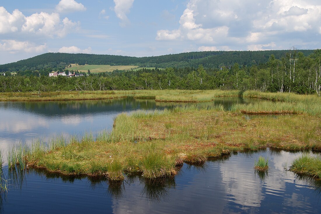 Šumava