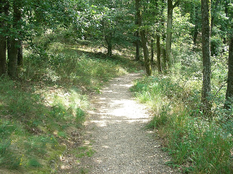 File:Chemin (28).jpg