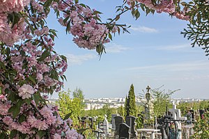 Cimetière Saint-Lazare (Chișinău)