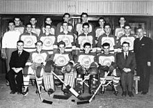 Photographie en noir et blanc d'une équipe de hockey sur glace sur trois rangs.