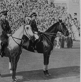 <span class="mw-page-title-main">Clarence von Rosen Jr.</span> Swedish equestrian