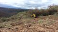 File:Clearing Autumn Olive at Trexler Nature Preserve on the hill slopes of the northern range. November, 2015.webm