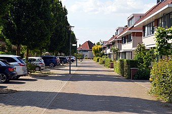 Colmarstraat, naar het westen gezien.