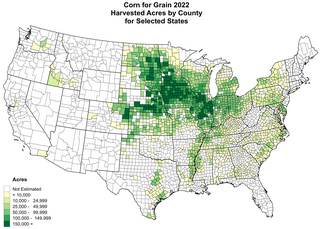 <span class="mw-page-title-main">Corn Belt</span> Agricultural or cultural region of the Midwestern United States