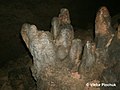 Cuevas de Bellamar (2).jpg