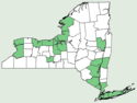 Cyperus odoratus NY-dist-map.png