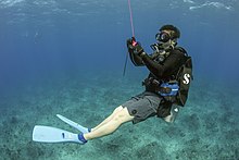 "Hanging" on a DSMB allows a diver to maintain a specific depth while resting DSC6465 (25624807657).jpg