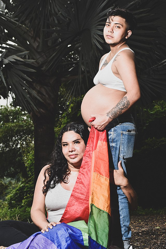 Transgender pregnancy - Wikiwand