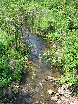 Dillons Run at Capon Bridge