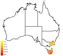 Distribution of Hakea lissosperma Distribution of Hakea lissosperma.jpg