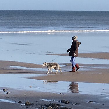 Dog walker, Runton beach, Norfolk, UK