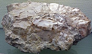 Dolostone breccia (Mackinac Breccia, Devonian; Interstate-75 exit near St. Ignace, Upper Peninsula of Michigan, USA) 2 (40975889854).jpg