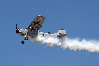 Cessna L-19