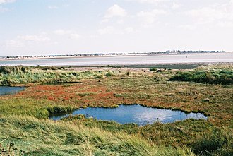 The marshland around the fort, overlooking the estuary and Brightlingsea Eastern Tip of Mersea Island - geograph.org.uk - 137919.jpg