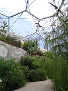 Eden project6.JPG