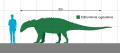 Edmontonia Scale.svg