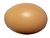 Egg on white background.jpg