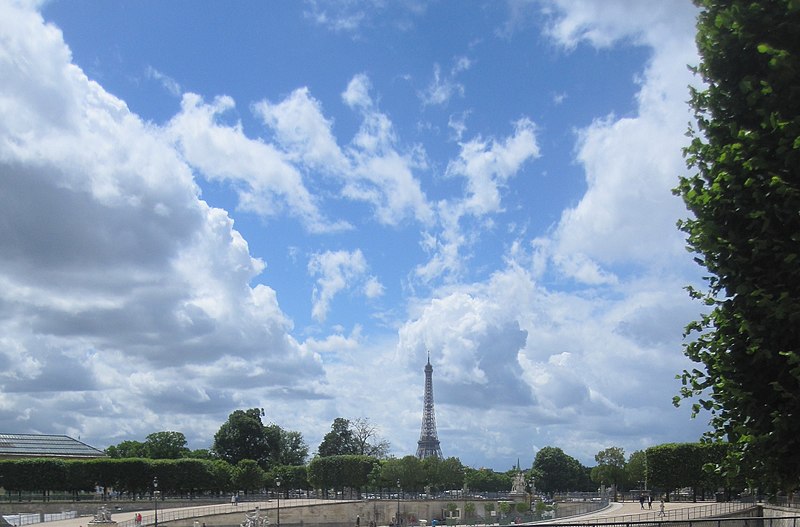 File:Eiffel Tower from the Tuileries Garden.jpg