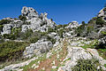 El Torcal Felsformation 03 2014.jpg