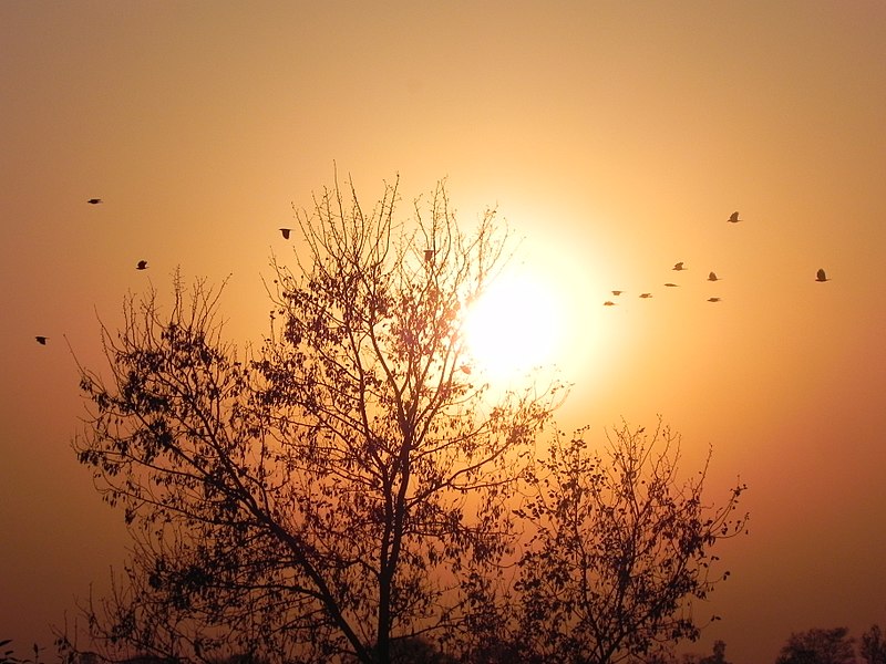 File:Evening near beach.jpg