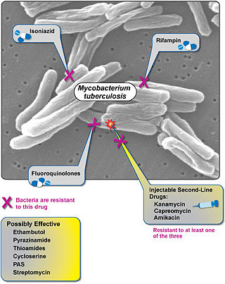<span class="mw-page-title-main">Extensively drug-resistant tuberculosis</span> Tuberculosis that is resistant to the most effective drugs