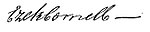 Yehezkiel cornell signature.JPG