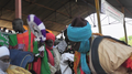 File:Fête de la sortie officielle du Lamido de Maroua 06.png