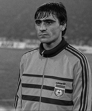 <span class="mw-page-title-main">Fadil Vokrri</span> Yugoslav footballer (1960–2018)