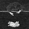 Filmsequenz, Falling Cat, 1894