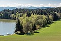 * Nomination Forest at the western shoreline of Lake Maltschach in Maltschach, Feldkirchen, Carinthia, Austria --Johann Jaritz 02:31, 28 April 2016 (UTC) * Promotion Good quality. --Cccefalon 04:17, 28 April 2016 (UTC)