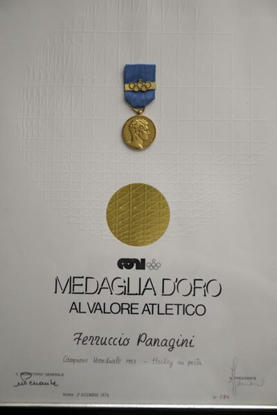 File:Ferruccio-Panagini-medaglia.jpg