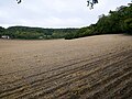 The field in which the early neolithic Smythe's Megalith was found.