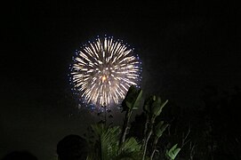 Fireworks at night.