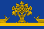 Flag of Dubovsky district 2007.png