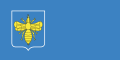 Flag of Klimavičy.svg