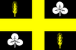 Vlag van de gemeente Raalte