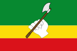 Flag of Saravena (Arauca).svg