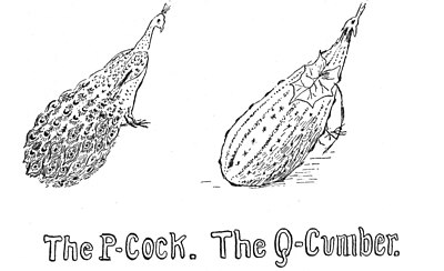 The P-Cock. The Q-Cumber.