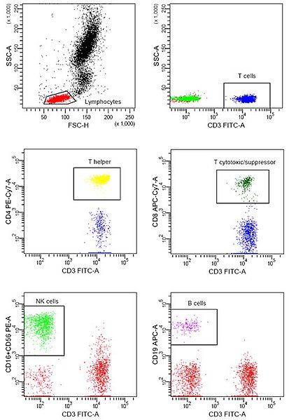 File:Flow Cytometry Chart.jpg