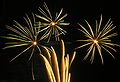 * Nomination Fireworks, Santiago de Compostela, Galicia, Spain--Lmbuga 00:46, 26 October 2008 (UTC) * Promotion Good! --Mrmariokartguy 03:28, 31 October 2008 (UTC)